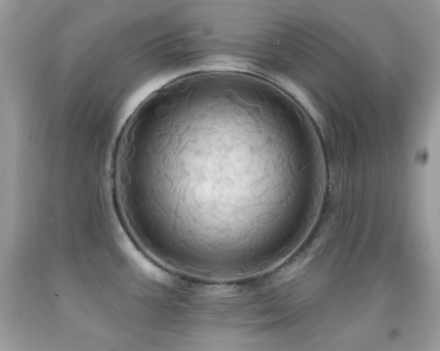 X0000091911387200709051409