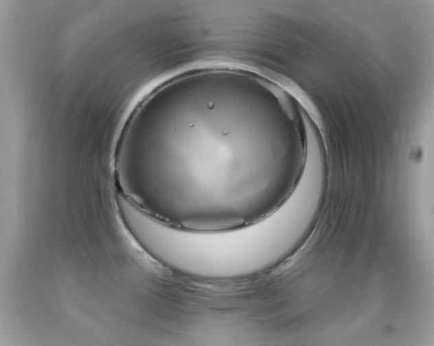 X0000091911388200709051409