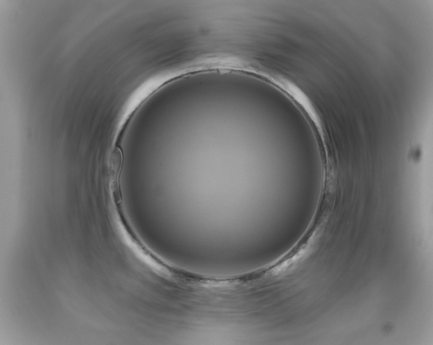 X0000091911389200709051409