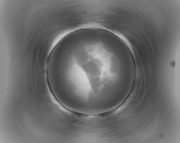 X0000091911390200709051409