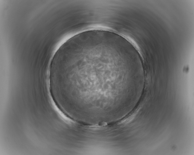 X0000091911391200709051409