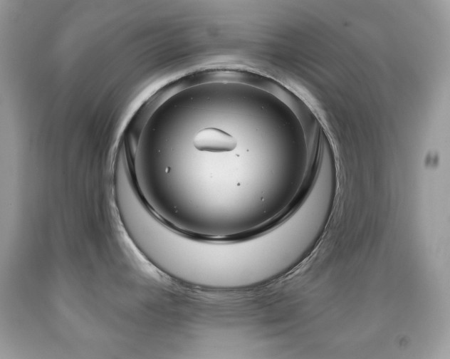 X0000091911392200709051409
