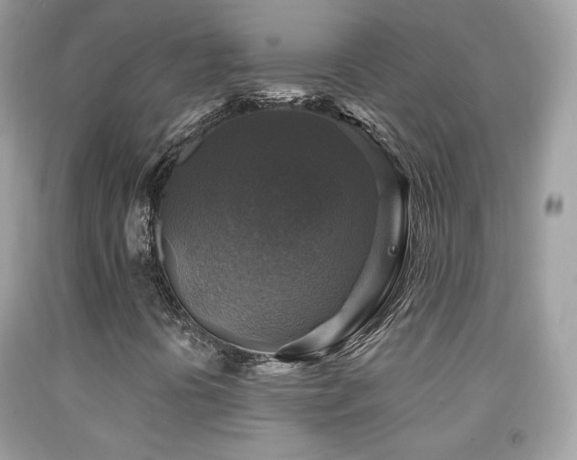 X0000091911394200709051409