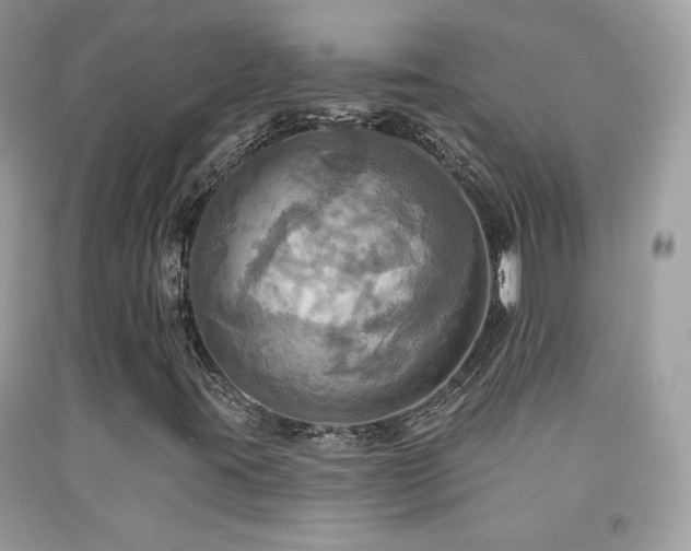 X0000091911395200709051409