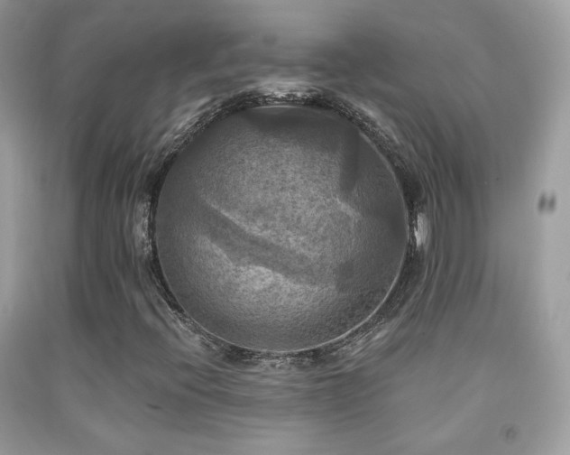 X0000091911396200709051409