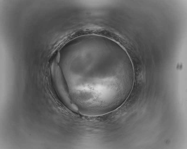 X0000091911397200709051409