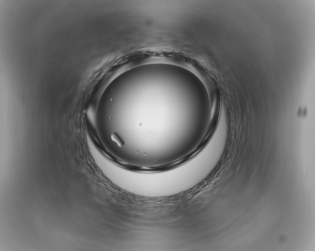 X0000091911398200709051409