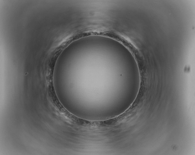 X0000091911399200709051409