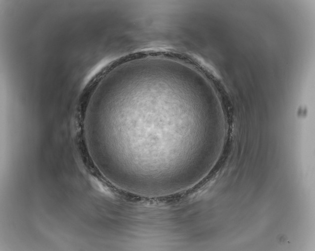 X0000091911400200709051409