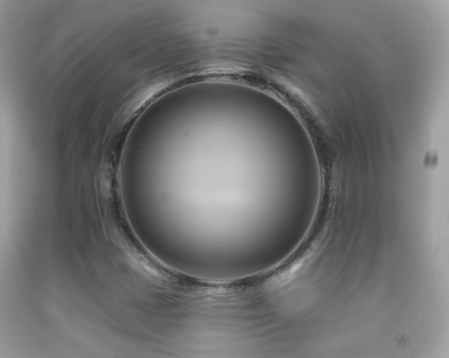 X0000091911401200709051409
