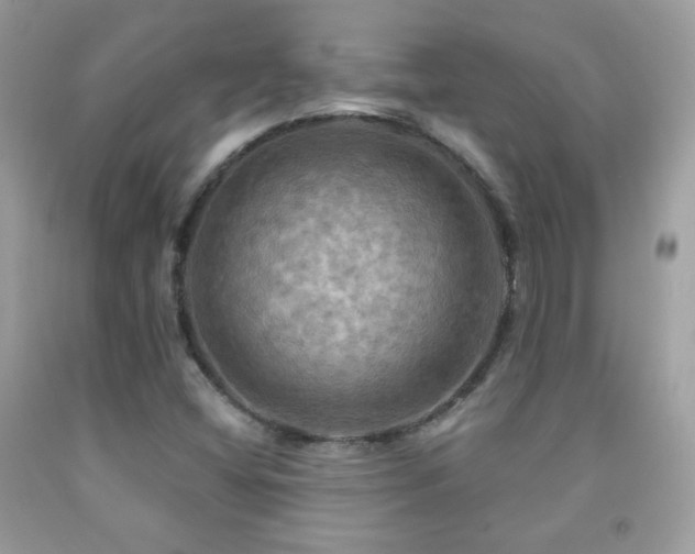 X0000091911404200709051409