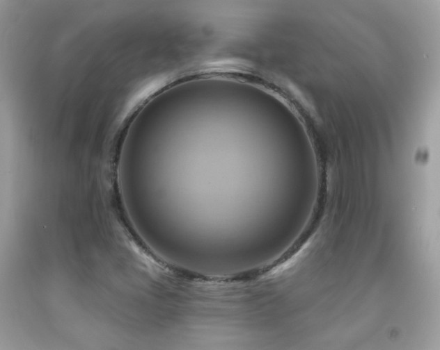 X0000091911405200709051409