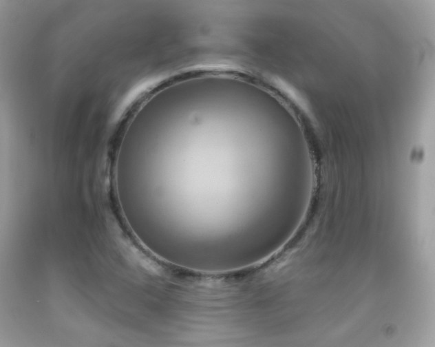 X0000091911408200709051409
