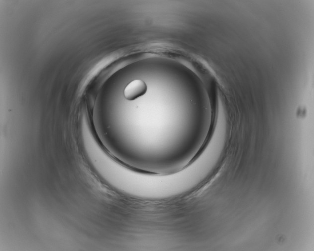 X0000091911410200709051409