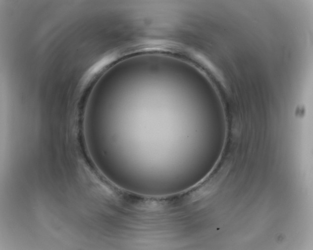 X0000091911411200709051409