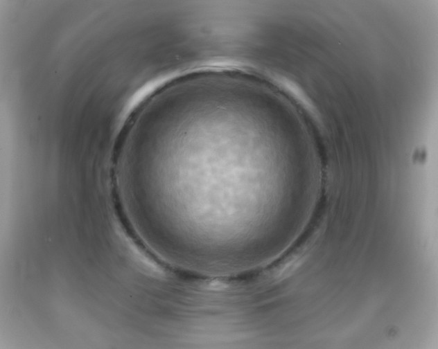 X0000091911412200709051409