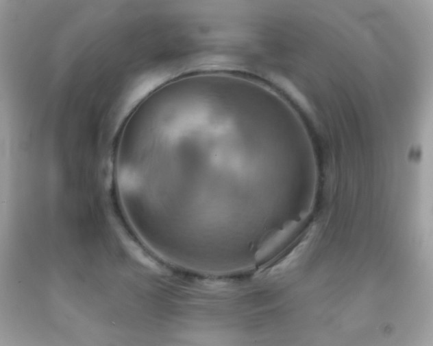 X0000091911413200709051409