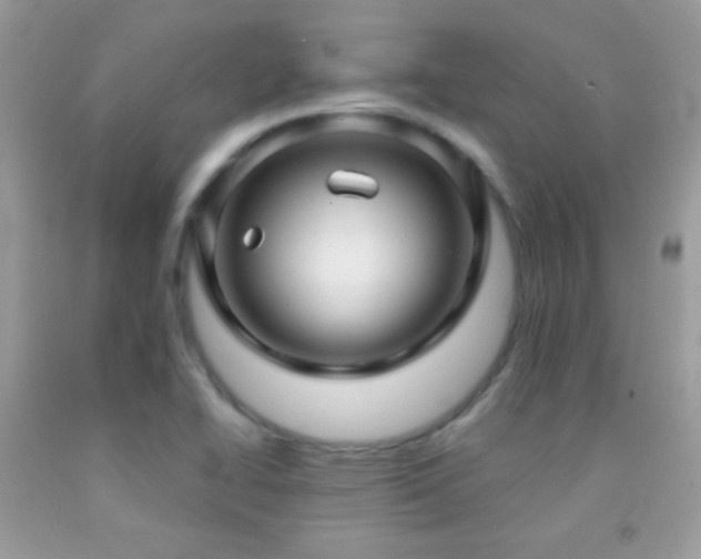 X0000091911414200709051409