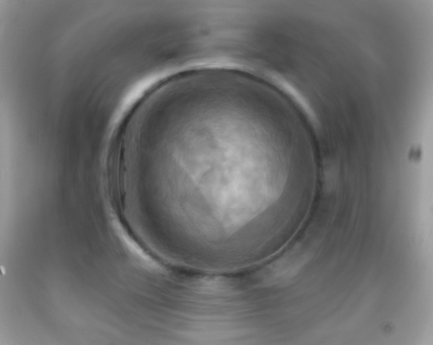 X0000091911416200709051409