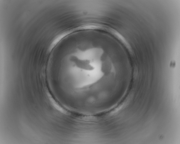 X0000091911417200709051409