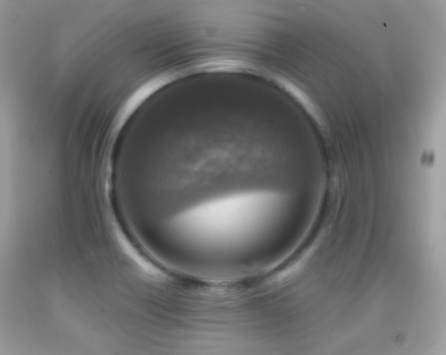 X0000091911418200709051409