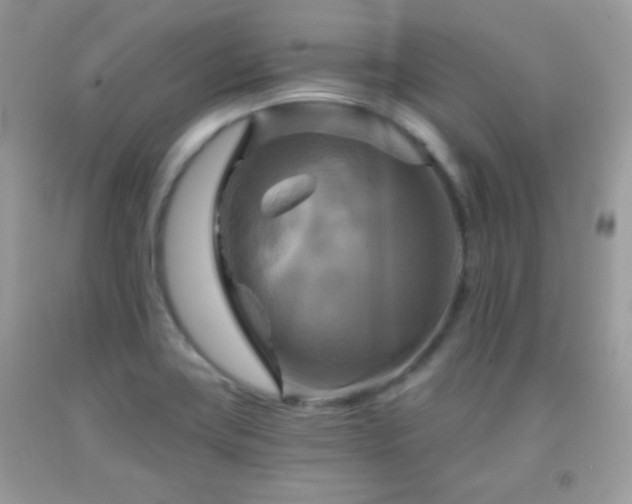 X0000091911419200709051409