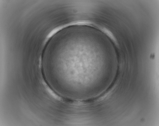 X0000091911420200709051409