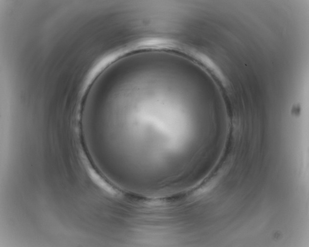 X0000091911421200709051409