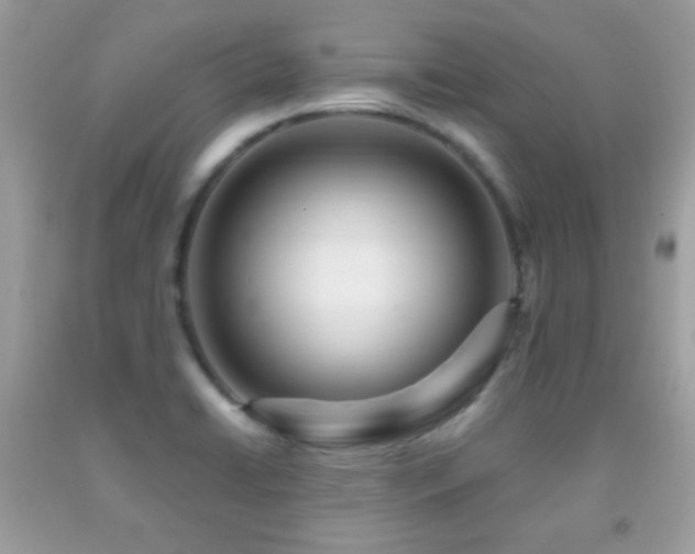 X0000091911422200709051409