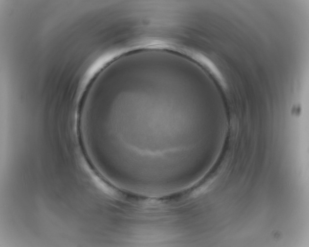 X0000091911424200709051409