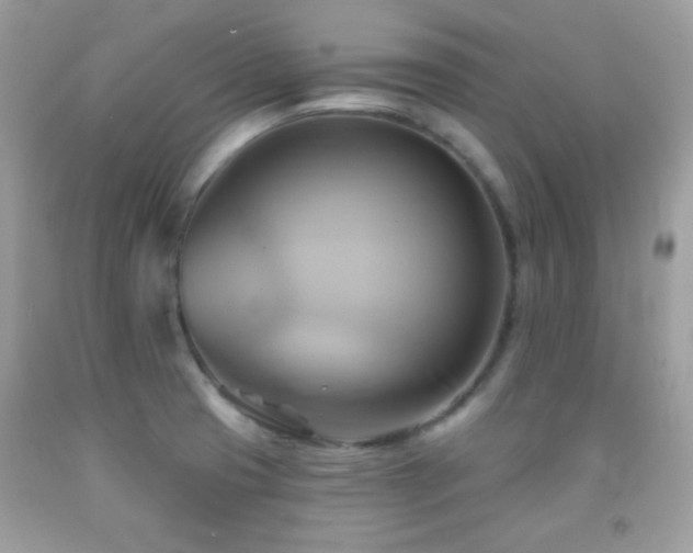 X0000091911425200709051409