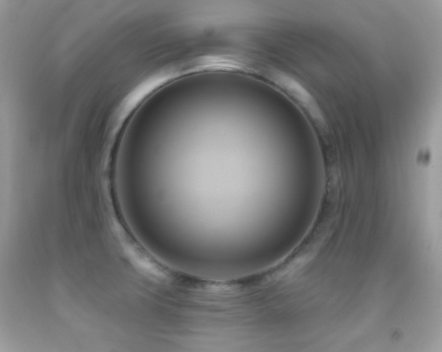 X0000091911427200709051409