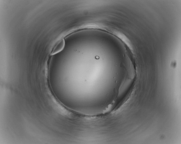 X0000091911428200709051409