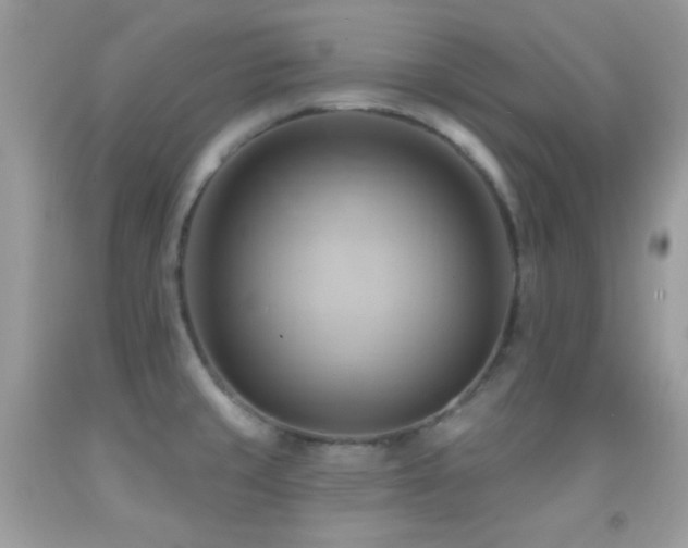 X0000091911429200709051409
