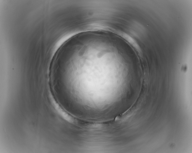 X0000091911431200709051409