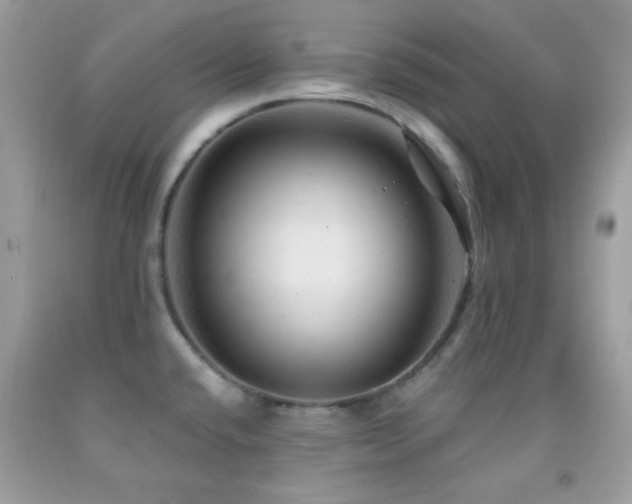 X0000091911432200709051409
