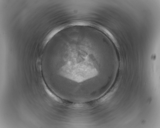 X0000091911433200709051409
