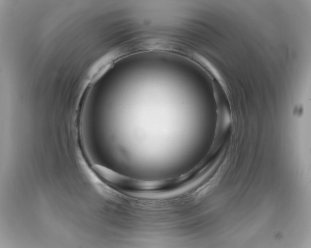 X0000091911434200709051409