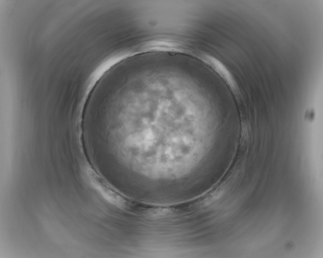 X0000091911435200709051409