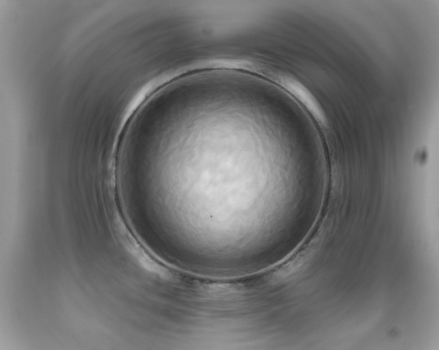 X0000091911436200709051409