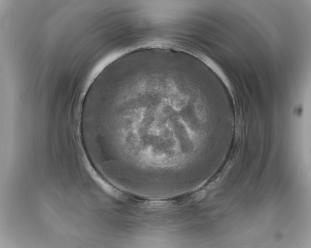 X0000091911437200709051409