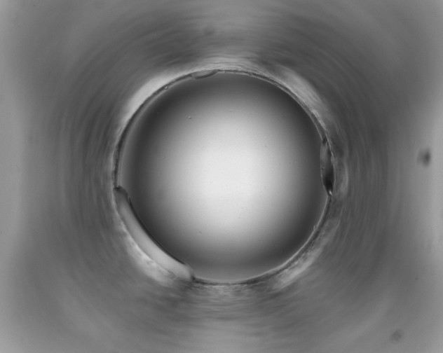 X0000091911438200709051409