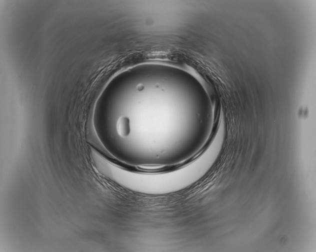 X0000091911441200709051409