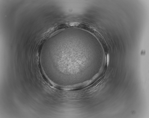 X0000091911443200709051409