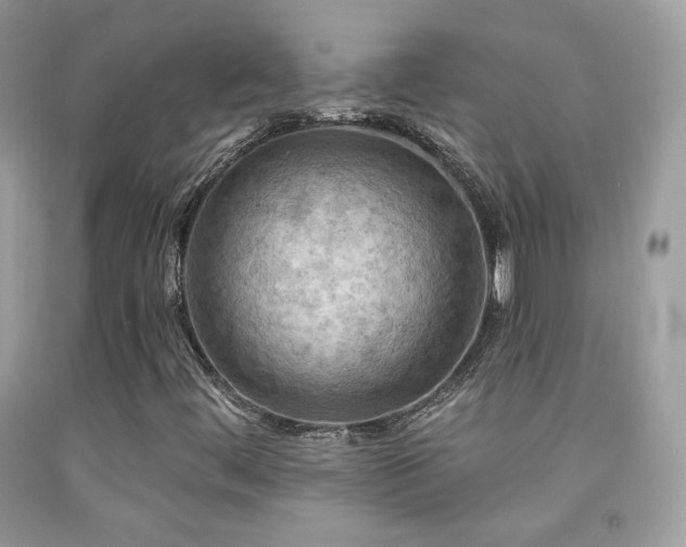 X0000091911444200709051409