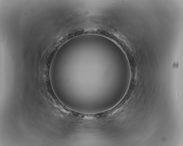 X0000091911445200709051409