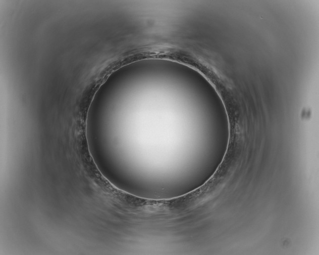 X0000091911447200709051409