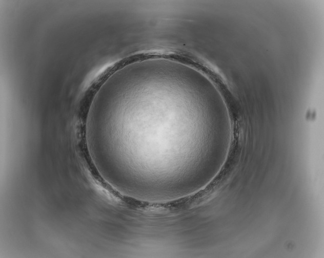 X0000091911448200709051409