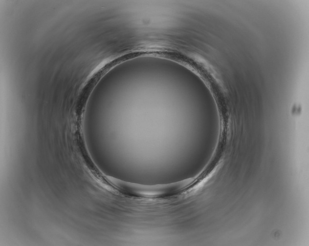 X0000091911449200709051409