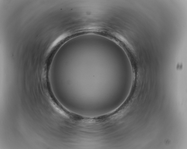 X0000091911450200709051409